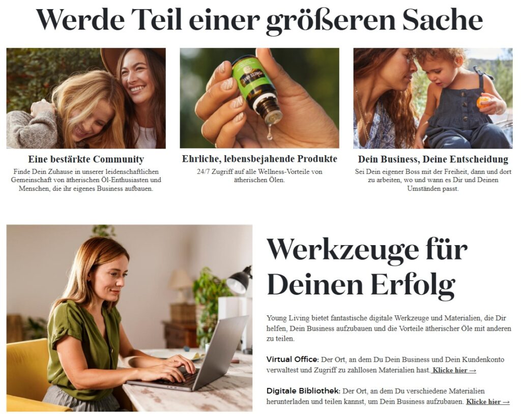 yl business yl business