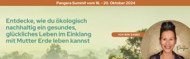 Der große Pangera Summit vom 16.-20. Oktober 2024 pangera summit oktober newsletter 4 experten ich