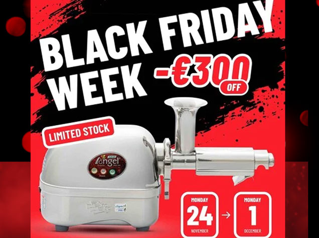 angeljuicer blog3 angeljuicer blog3