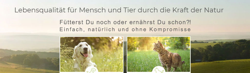 partner xantara partner xantara